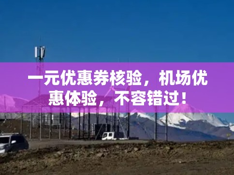 一元优惠券核验，机场优惠体验，不容错过！