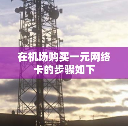 在机场购买一元网络卡的步骤如下