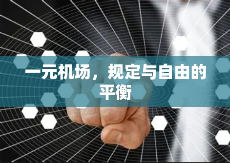 一元机场，规定与自由的平衡