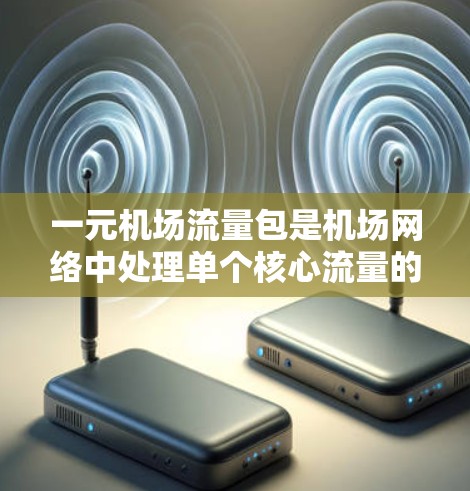 一元机场流量包是机场网络中处理单个核心流量的一种高效管理方式。以下是对一元机场流量包的详细分析