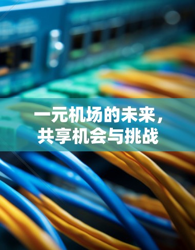一元机场的未来，共享机会与挑战