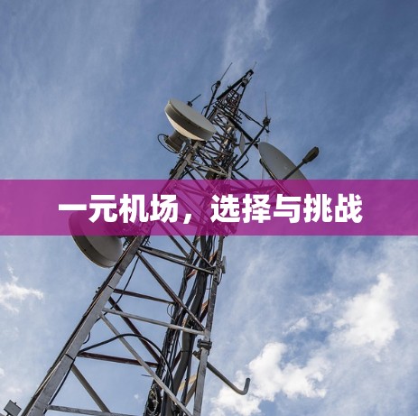 一元机场，选择与挑战