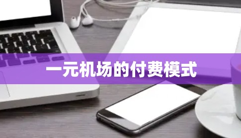 一元机场的付费模式