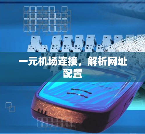 一元机场连接，解析网址配置