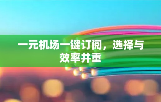 一元机场一键订阅，选择与效率并重