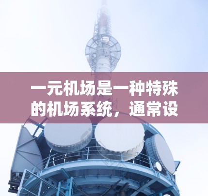 一元机场是一种特殊的机场系统，通常设计为只允许特定类型的乘客或特定类型的航班进入。这种设计旨在提高效率并确保乘客的安全。以下是关于一元机场验证方式的详细说明