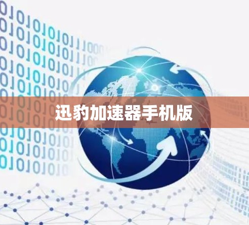 迅豹加速器手机版
