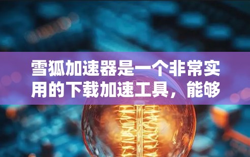雪狐加速器是一个非常实用的下载加速工具，能够帮助用户更快地完成下载任务。以下是关于雪狐加速器的详细评测