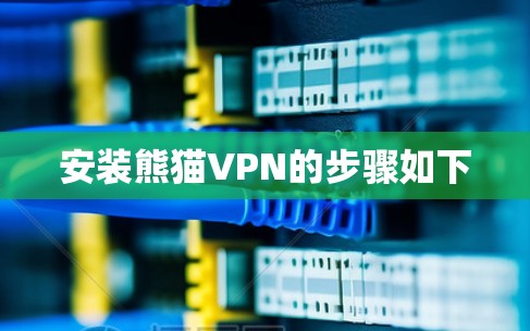 安装熊猫VPN的步骤如下