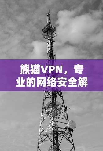 熊猫VPN，专业的网络安全解决方案