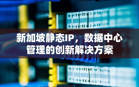 新加坡静态IP，数据中心管理的创新解决方案
