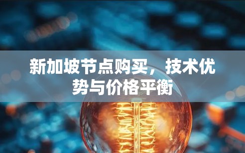 新加坡节点购买，技术优势与价格平衡