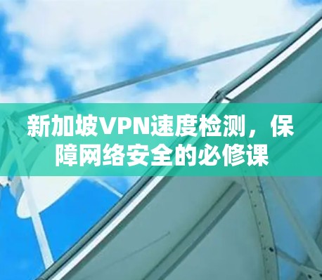 新加坡VPN速度检测，保障网络安全的必修课