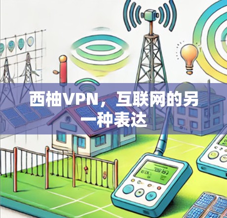 西柚VPN，互联网的另一种表达