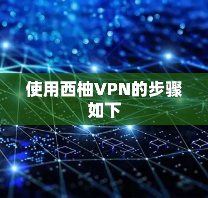 使用西柚VPN的步骤如下