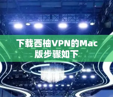 下载西柚VPN的Mac版步骤如下