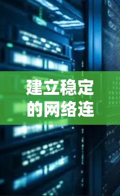 建立稳定的网络连接方案需要从基础开始逐步学习和实践，以下是一个详细且系统化的学习计划