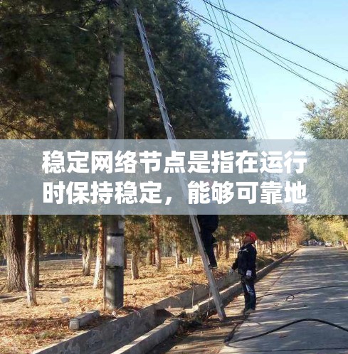稳定网络节点是指在运行时保持稳定，能够可靠地发送和接收网络数据的网络节点。以下是对稳定网络节点的系统化解释