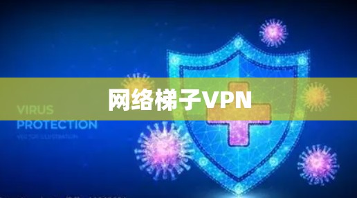 网络梯子VPN