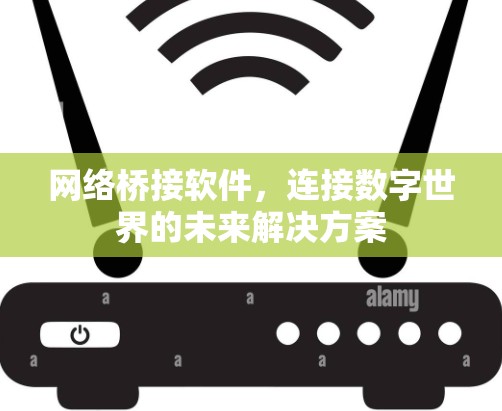 网络桥接软件，连接数字世界的未来解决方案