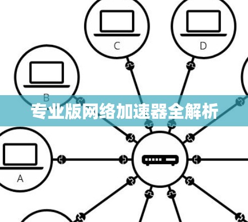 专业版网络加速器全解析