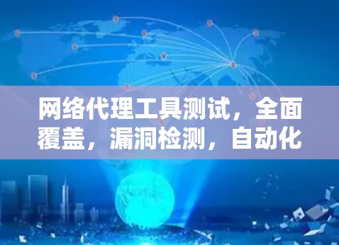 网络代理工具测试，全面覆盖，漏洞检测，自动化处理