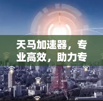 天马加速器，专业高效，助力专业领域