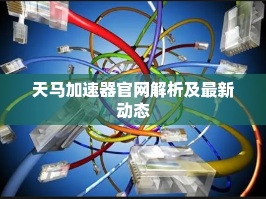 天马加速器官网解析及最新动态
